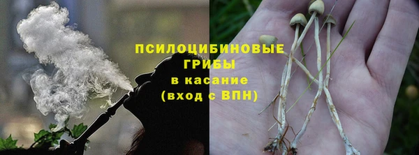 mix Надым