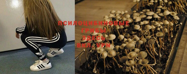 mix Надым