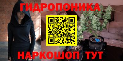 a pvp Жуковский