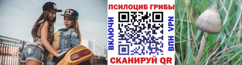 Псилоцибиновые грибы Psilocybe  Сочи 