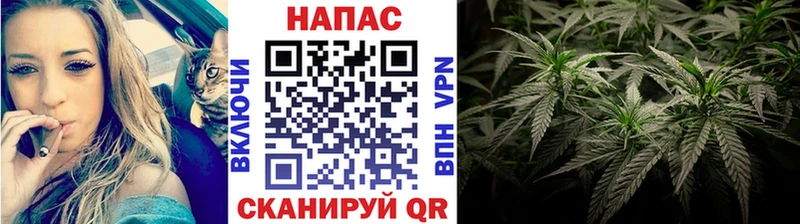 omg   Сочи  Каннабис Bruce Banner  купить наркотики цена 