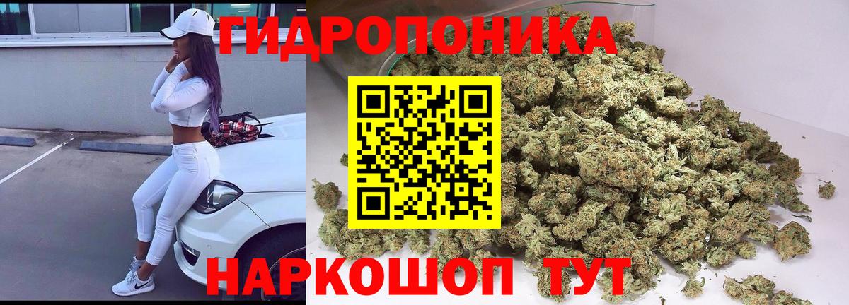 МАРИХУАНА семена Сочи